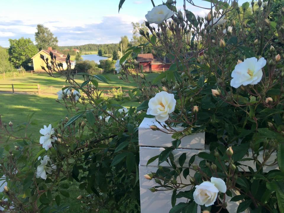 Tukkilan Tila Porvoo Exterior foto